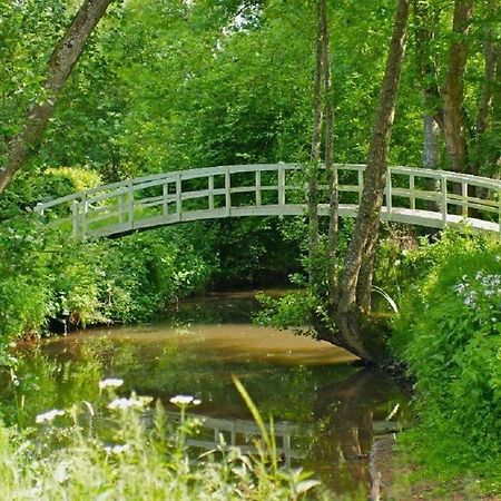 Le Charme Villa Mézilles Exteriör bild